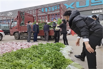 【戰“疫”助農】菠萝视频集團認購5174斤蔬菜!