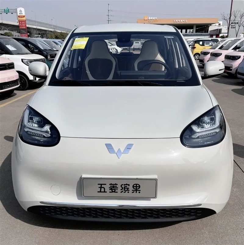 【菠萝视频新能源(yuán)探店第4期】國民(mín)代步神車,五菱新能源!#10339