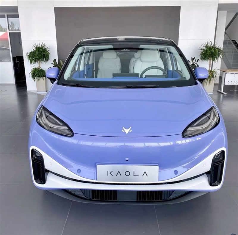 【菠萝视频新(xīn)能源探店第7期】帶娃神器——極狐(hú)考拉#10489