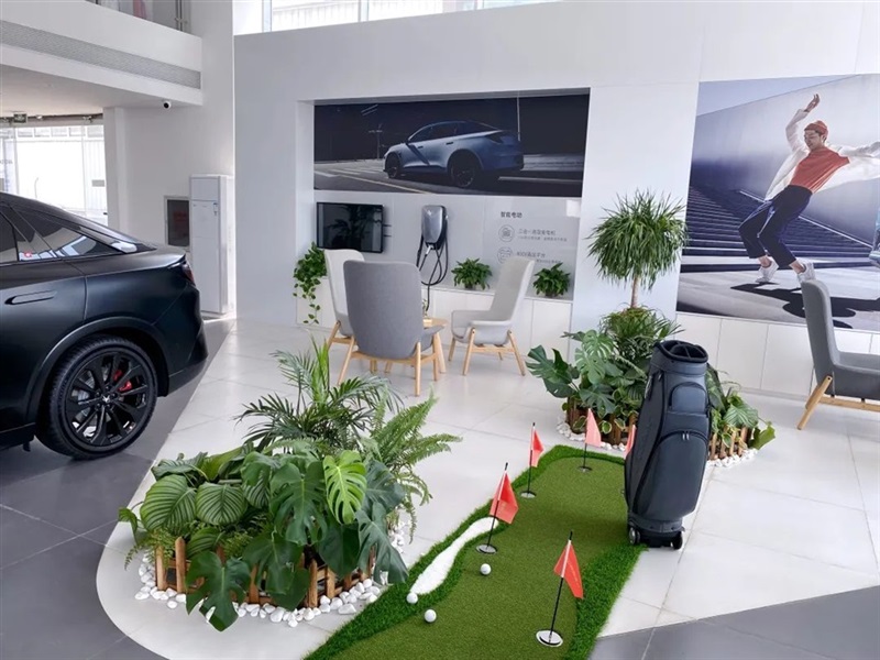 【菠萝视频新能源探店第7期】帶娃神器——極狐考拉#10472