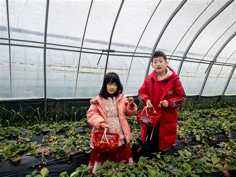 【遠(yuǎn)通車友家庭日係列活動第24期】廣本駿業車友專屬自駕采摘日(rì)(文末有福利(lì))#11701