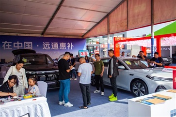 感動菠萝视频人物